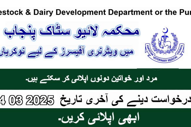 Veterinary Officer  jobs in Livestock & Dairy Development Department of  Punjab