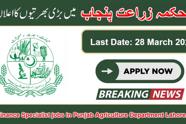 Finance Specialist jobs in Punjab Agriculture Department Lahore.