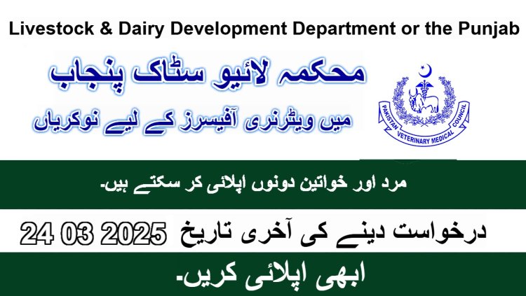 Veterinary Officer  jobs in Livestock & Dairy Development Department of  Punjab