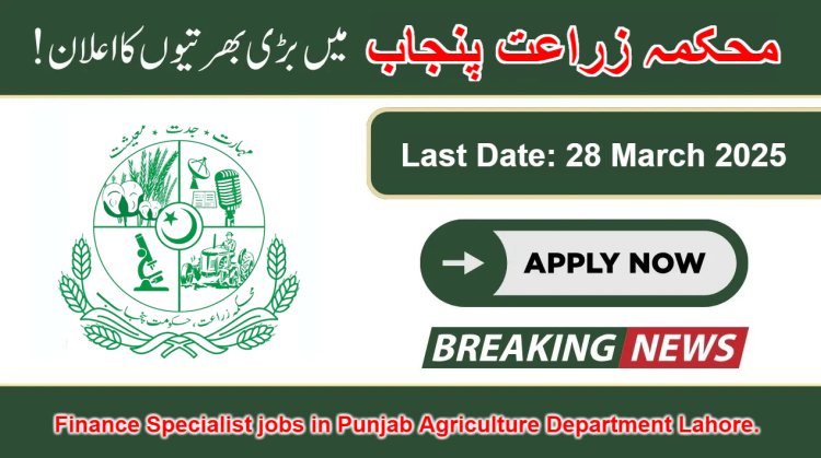 Finance Specialist jobs in Punjab Agriculture Department Lahore.