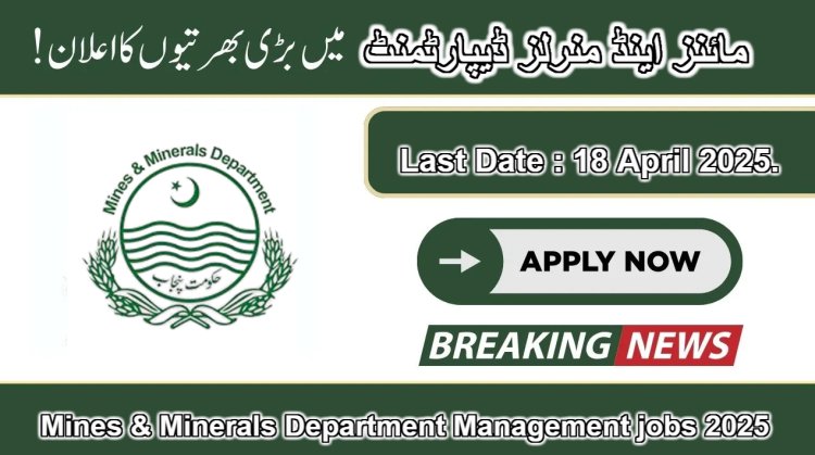 GIS Mapping Officer & Drone Operator Jobs in Mines & Minerals Department 2025