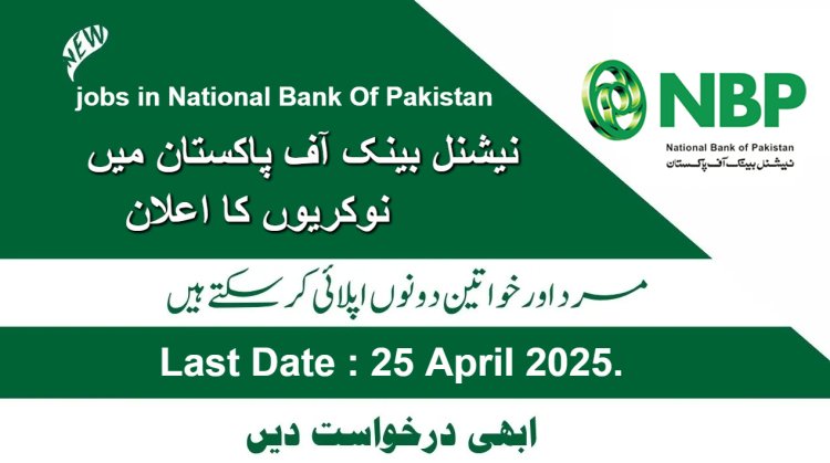 National Bank of Pakistan jobs 2025 20+ Banking Positions (VP, AVP, OG-I/II) - Apply Now!