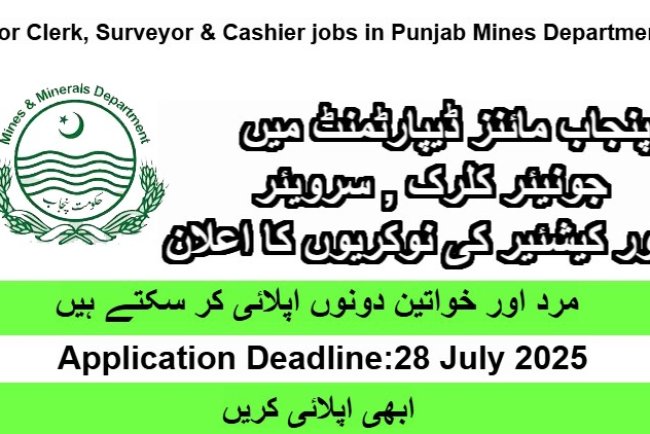 Punjab Mines Department Jobs 2025 - Junior Clerk, Surveyor & Cashier Vacancies | Apply by July 28