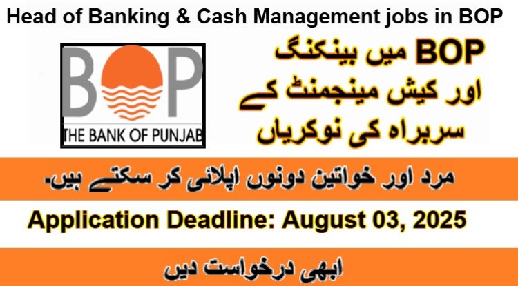 Head of Employee Banking & Cash Management Job at BOP | EVP Level Position | Apply by Aug 03, 2025